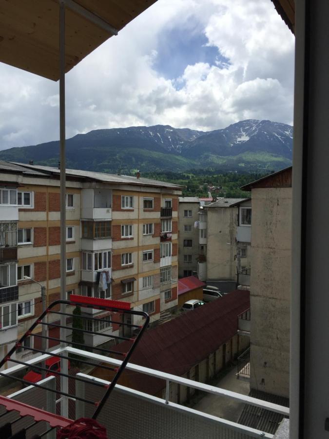 Apartamente Gildo 20 Borşa Extérieur photo